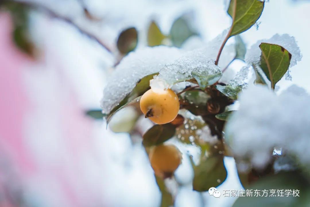 爸媽放心吧，立冬的餃子我已經(jīng)吃上啦！