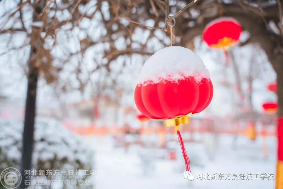 | | 如果，能在這里和你同游看場雪