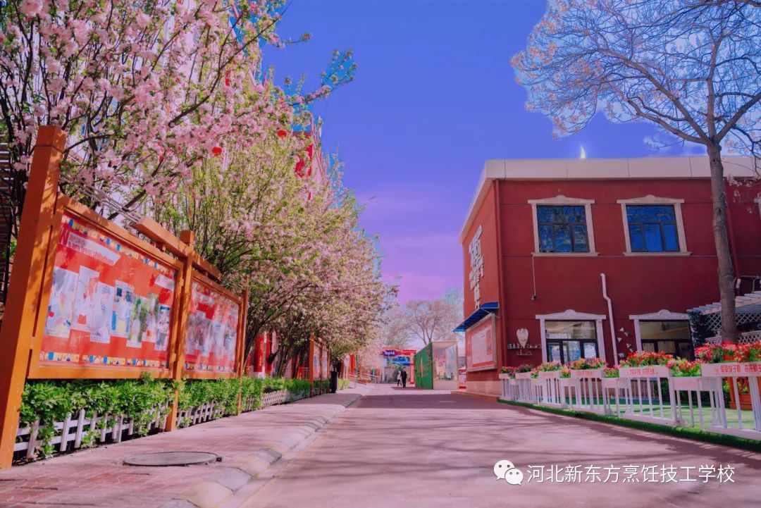 當河北新東方遇上AI漫畫~