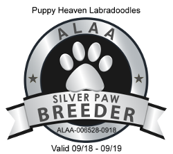 ALAA Silver Paw British COlumbia
